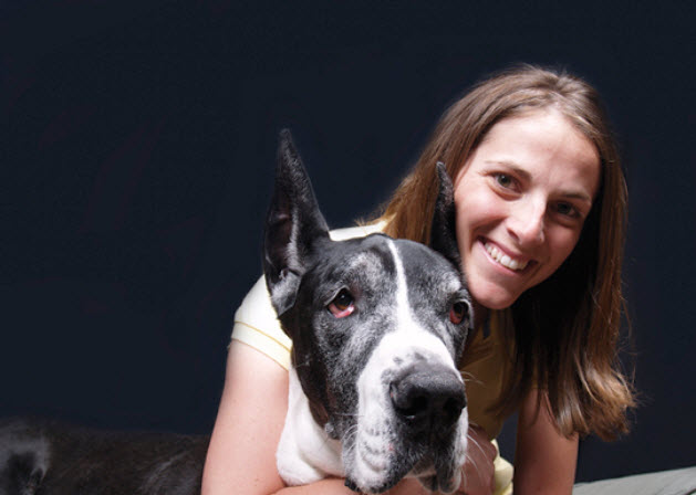 Great Dane Dog Breed Info